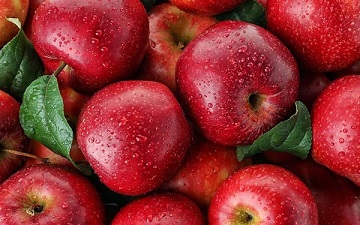 تصویر 2 از قیمت خرید سیب قرمز فرانسه صادراتی + فروش ویژه